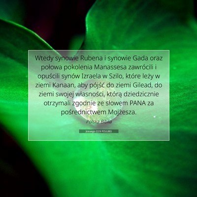 Picture 07 - Jozuego 22:9 POLUBG - Wtedy synowie Rubena i synowie Gada oraz połowa - Bible Verse Picture