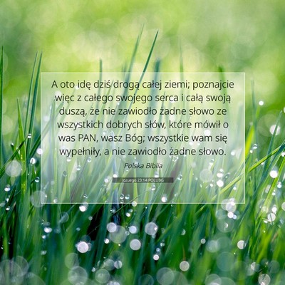 Picture 07 - Jozuego 23:14 POLUBG - A oto idę dziś drogą całej ziemi; poznajcie - Bible Verse Picture