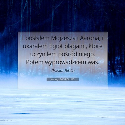 Picture 07 - Jozuego 24:5 POLUBG - I posłałem Mojżesza i Aarona, i ukarałem - Bible Verse Picture
