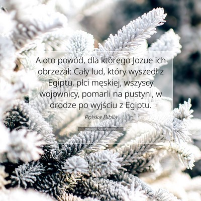 Picture 07 - Jozuego 5:4 POLUBG - A oto powód, dla którego Jozue ich obrzezał: - Bible Verse Picture