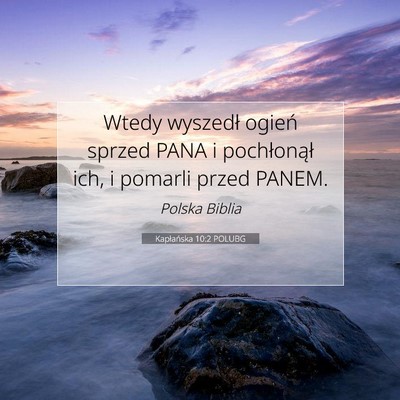 Picture 07 - Kapłańska 10:2 POLUBG - Wtedy wyszedł ogień sprzed PANA i pochłonął - Bible Verse Picture