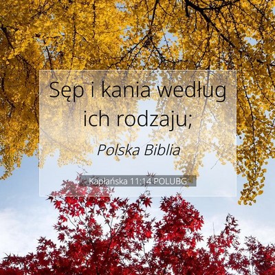 Picture 07 - Kapłańska 11:14 POLUBG - Sęp i kania według ich - Bible Verse Picture
