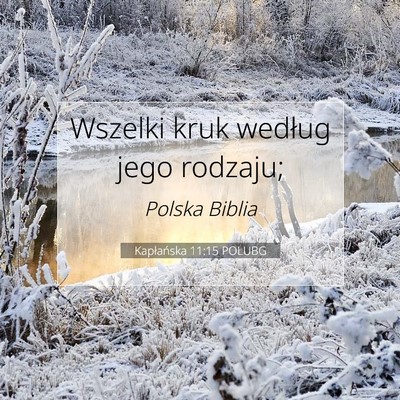 Picture 07 - Kapłańska 11:15 POLUBG - Wszelki kruk według jego - Bible Verse Picture
