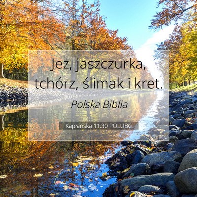 Picture 07 - Kapłańska 11:30 POLUBG - Jeż, jaszczurka, tchórz, ślimak i - Bible Verse Picture