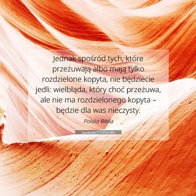 Picture 07 - Kapłańska 11:4 POLUBG - Jednak spośród tych, które przeżuwają albo - Bible Verse Picture