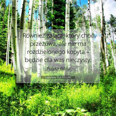Picture 07 - Kapłańska 11:6 POLUBG - Również zająca, który choć przeżuwa, ale - Bible Verse Picture
