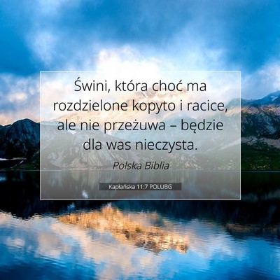 Picture 07 - Kapłańska 11:7 POLUBG - Świni, która choć ma rozdzielone kopyto i - Bible Verse Picture