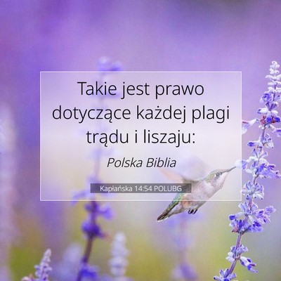Picture 07 - Kapłańska 14:54 POLUBG - Takie jest prawo dotyczące każdej plagi trądu - Bible Verse Picture