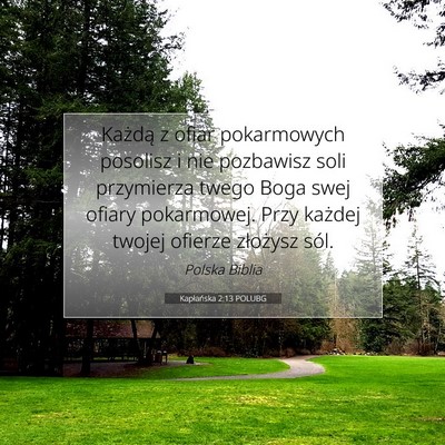 Picture 07 - Kapłańska 2:13 POLUBG - Każdą z ofiar pokarmowych posolisz i nie - Bible Verse Picture