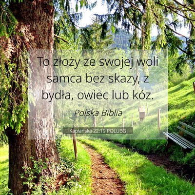 Picture 07 - Kapłańska 22:19 POLUBG - To złoży ze swojej woli samca bez skazy, z - Bible Verse Picture