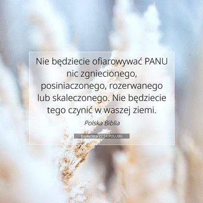 Picture 07 - Kapłańska 22:24 POLUBG - Nie będziecie ofiarowywać PANU nic - Bible Verse Picture