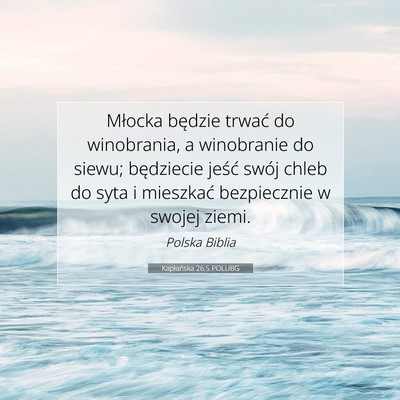 Picture 07 - Kapłańska 26:5 POLUBG - Młocka będzie trwać do winobrania, a - Bible Verse Picture