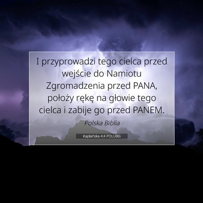 Picture 07 - Kapłańska 4:4 POLUBG - I przyprowadzi tego cielca przed wejście do - Bible Verse Picture