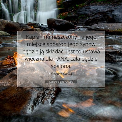Picture 07 - Kapłańska 6:22 POLUBG - Kapłan namaszczony na jego miejsce spośród - Bible Verse Picture