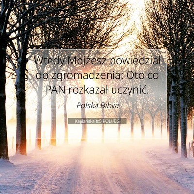 Picture 07 - Kapłańska 8:5 POLUBG - Wtedy Mojżesz powiedział do zgromadzenia: Oto - Bible Verse Picture