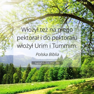 Picture 07 - Kapłańska 8:8 POLUBG - Włożył też na niego pektorał i do pektorału - Bible Verse Picture