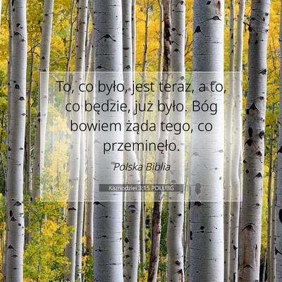 Picture 07 - Kaznodziei 3:15 POLUBG - To, co było, jest teraz, a to, co będzie, już - Bible Verse Picture