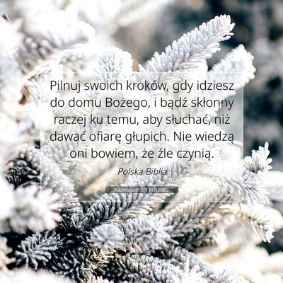 Picture 07 - Kaznodziei 5:1 POLUBG - Pilnuj swoich kroków, gdy idziesz do domu - Bible Verse Picture