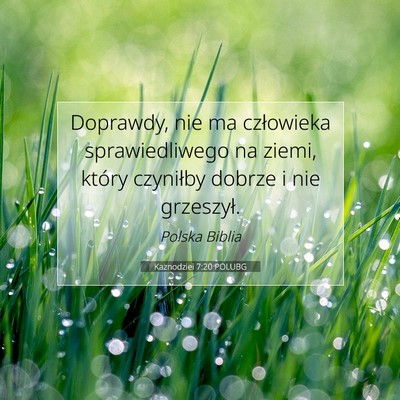 Picture 07 - Kaznodziei 7:20 POLUBG - Doprawdy, nie ma człowieka sprawiedliwego na - Bible Verse Picture