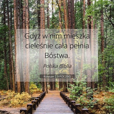 Picture 07 - Kolosan 2:9 POLUBG - Gdyż w nim mieszka cieleśnie cała pełnia - Bible Verse Picture