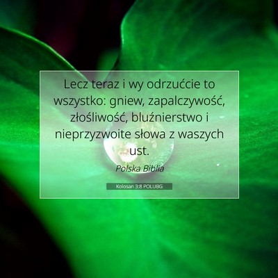 Picture 07 - Kolosan 3:8 POLUBG - Lecz teraz i wy odrzućcie to wszystko: gniew, - Bible Verse Picture