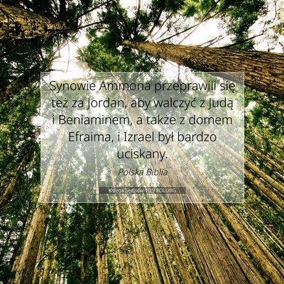 Picture 07 - Księga Sędziów 10:9 POLUBG - Synowie Ammona przeprawili się też za Jordan, - Bible Verse Picture