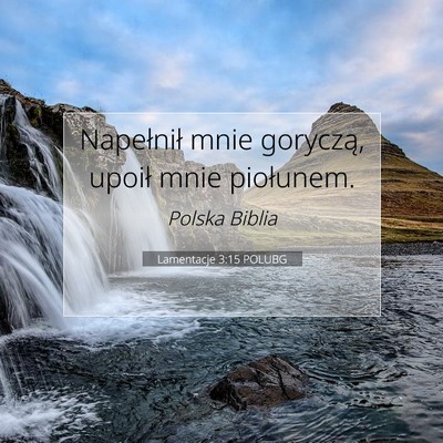 Picture 07 - Lamentacje 3:15 POLUBG - Napełnił mnie goryczą, upoił mnie - Bible Verse Picture