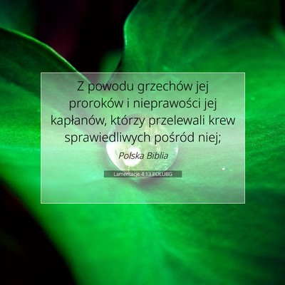Picture 07 - Lamentacje 4:13 POLUBG - Z powodu grzechów jej proroków i nieprawości - Bible Verse Picture