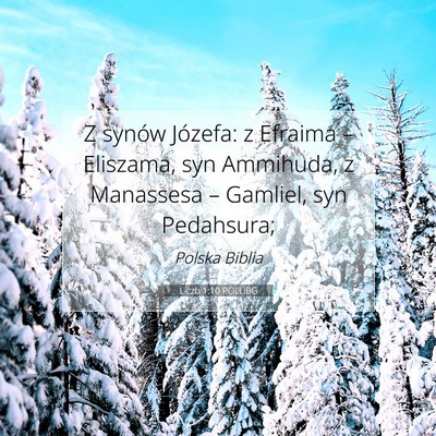 Picture 07 - Liczb 1:10 POLUBG - Z synów Józefa: z Efraima – Eliszama, syn - Bible Verse Picture