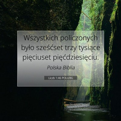 Picture 07 - Liczb 1:46 POLUBG - Wszystkich policzonych było sześćset trzy - Bible Verse Picture