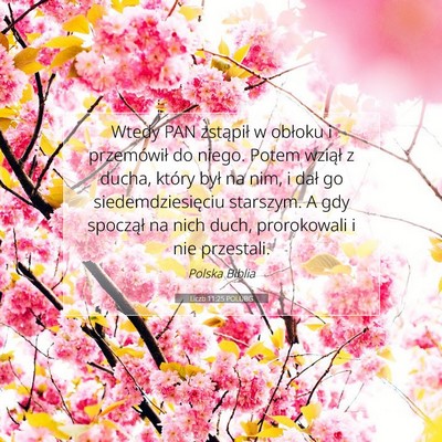 Picture 07 - Liczb 11:25 POLUBG - Wtedy PAN zstąpił w obłoku i przemówił do - Bible Verse Picture