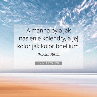 Picture 07 - Liczb 11:7 POLUBG - A manna była jak nasienie kolendry, a jej kolor - Bible Verse Picture