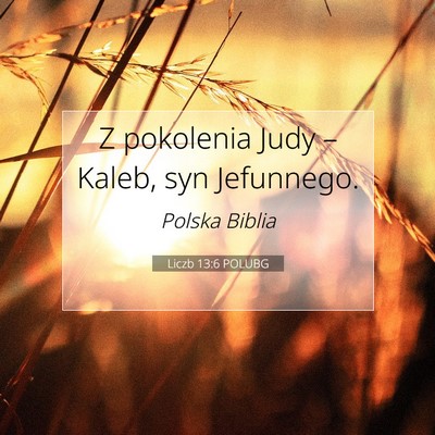Picture 07 - Liczb 13:6 POLUBG - Z pokolenia Judy – Kaleb, syn - Bible Verse Picture