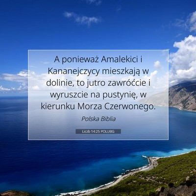 Picture 07 - Liczb 14:25 POLUBG - A ponieważ Amalekici i Kananejczycy mieszkają w - Bible Verse Picture