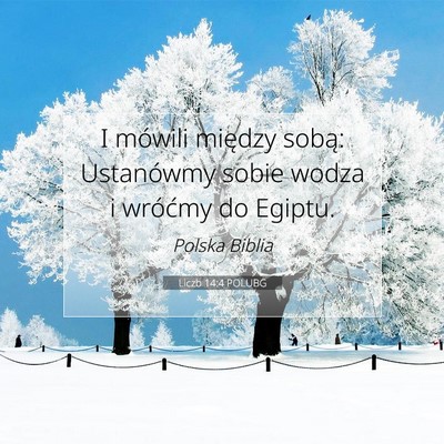 Picture 07 - Liczb 14:4 POLUBG - I mówili między sobą: Ustanówmy sobie wodza i - Bible Verse Picture