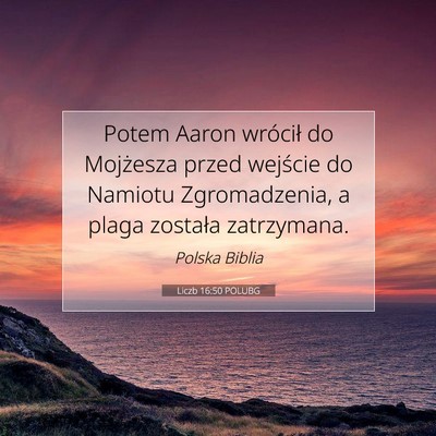 Picture 07 - Liczb 16:50 POLUBG - Potem Aaron wrócił do Mojżesza przed wejście - Bible Verse Picture
