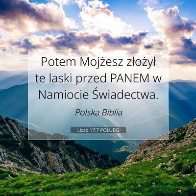 Picture 07 - Liczb 17:7 POLUBG - Potem Mojżesz złożył te laski przed PANEM w - Bible Verse Picture