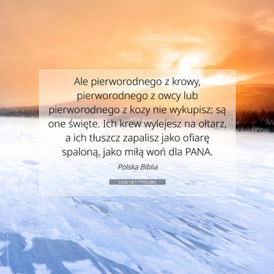 Picture 07 - Liczb 18:17 POLUBG - Ale pierworodnego z krowy, pierworodnego z owcy - Bible Verse Picture
