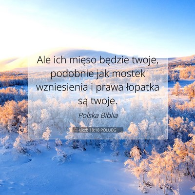 Picture 07 - Liczb 18:18 POLUBG - Ale ich mięso będzie twoje, podobnie jak mostek - Bible Verse Picture