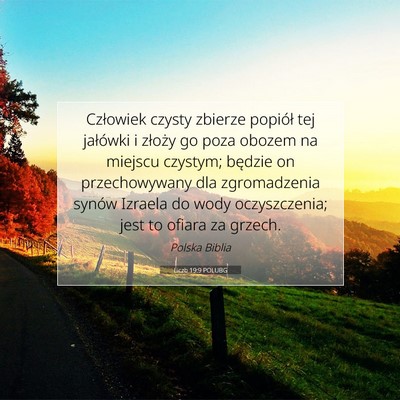 Picture 07 - Liczb 19:9 POLUBG - Człowiek czysty zbierze popiół tej jałówki i - Bible Verse Picture