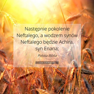 Picture 07 - Liczb 2:29 POLUBG - Następnie pokolenie Neftalego, a wodzem synów - Bible Verse Picture
