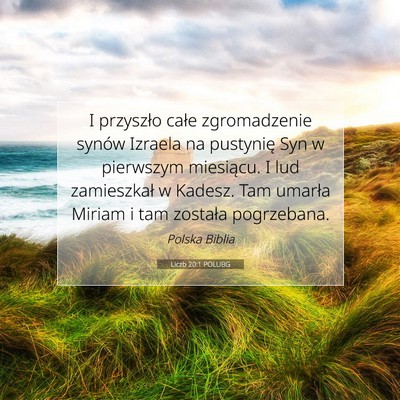 Picture 07 - Liczb 20:1 POLUBG - I przyszło całe zgromadzenie synów Izraela na - Bible Verse Picture