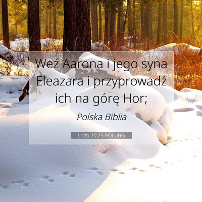 Picture 07 - Liczb 20:25 POLUBG - Weź Aarona i jego syna Eleazara i przyprowadź - Bible Verse Picture