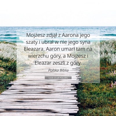 Picture 07 - Liczb 20:28 POLUBG - Mojżesz zdjął z Aarona jego szaty i ubrał w - Bible Verse Picture