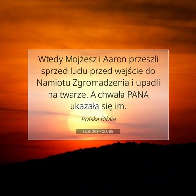 Picture 07 - Liczb 20:6 POLUBG - Wtedy Mojżesz i Aaron przeszli sprzed ludu przed - Bible Verse Picture