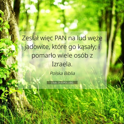 Picture 07 - Liczb 21:6 POLUBG - Zesłał więc PAN na lud węże jadowite, które - Bible Verse Picture
