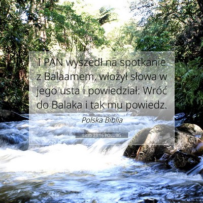 Picture 07 - Liczb 23:16 POLUBG - I PAN wyszedł na spotkanie z Balaamem, włożył - Bible Verse Picture