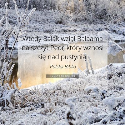 Picture 07 - Liczb 23:28 POLUBG - Wtedy Balak wziął Balaama na szczyt Peor, - Bible Verse Picture