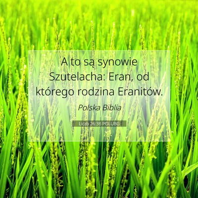 Picture 07 - Liczb 26:36 POLUBG - A to są synowie Szutelacha: Eran, od którego - Bible Verse Picture