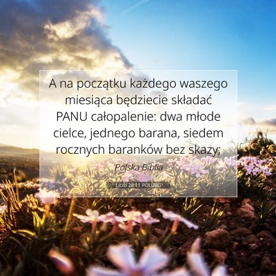 Picture 07 - Liczb 28:11 POLUBG - A na początku każdego waszego miesiąca - Bible Verse Picture